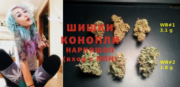 дживик Иннополис