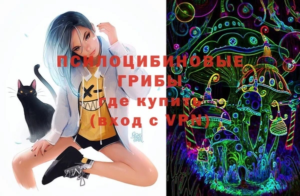 соль курить ск Инсар