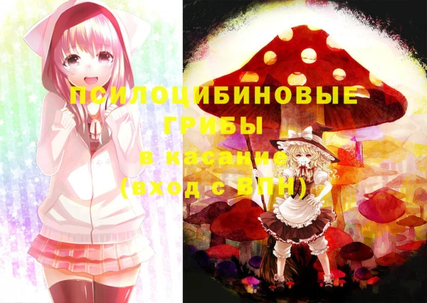 марки lsd Инта