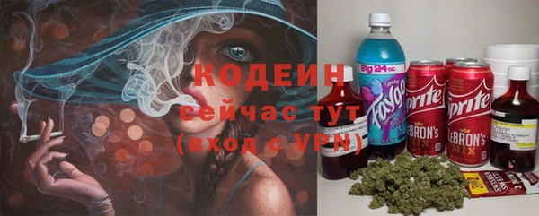 дживик Иннополис